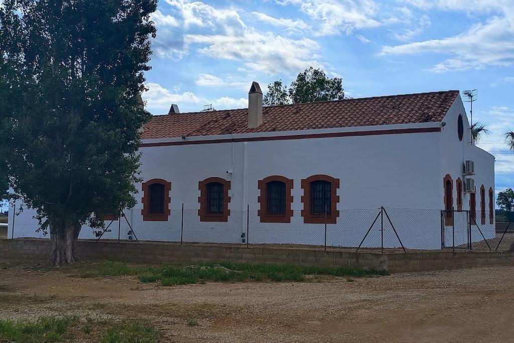 Casilla Mas D'Avall Deltebre Exterior photo